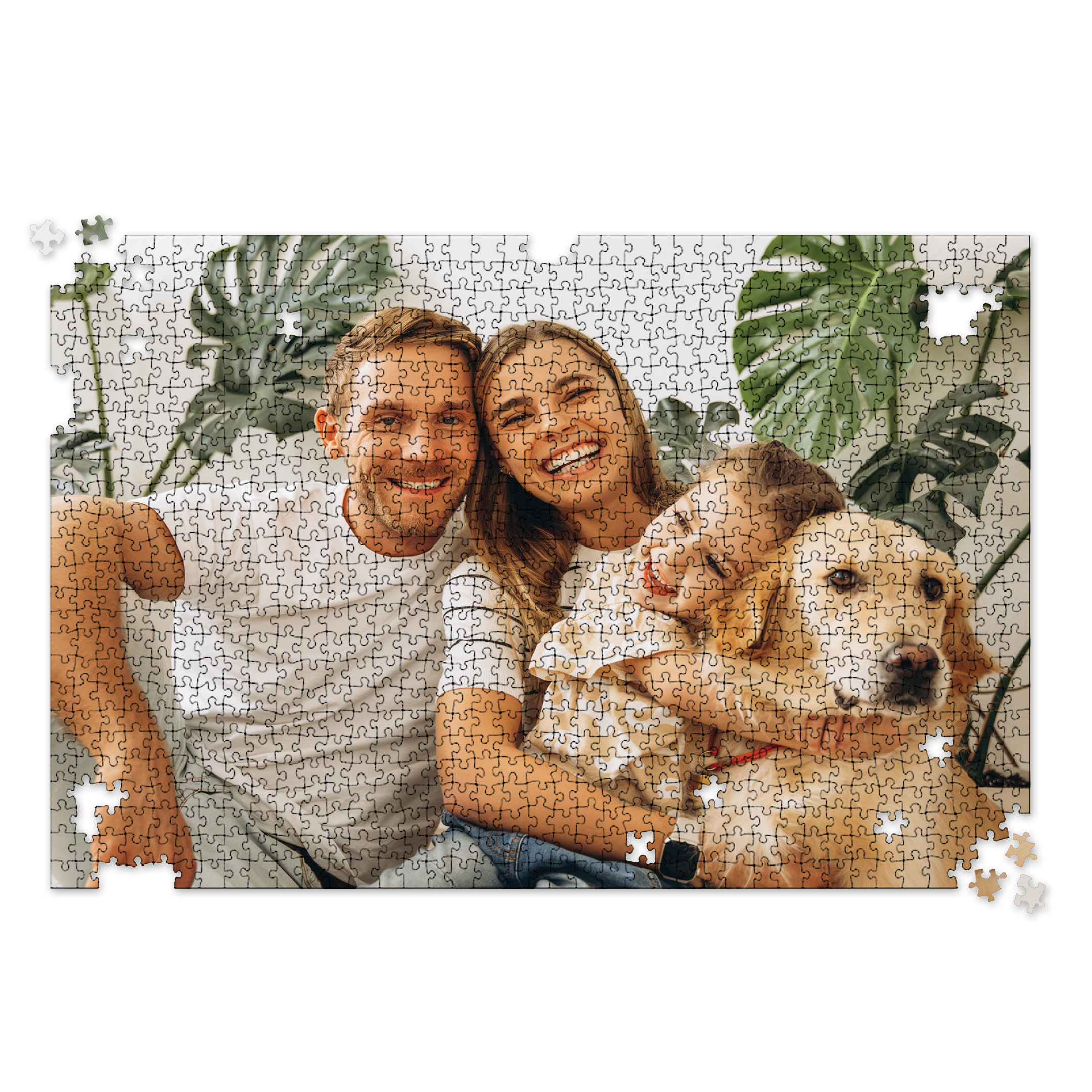 Variant Option Image