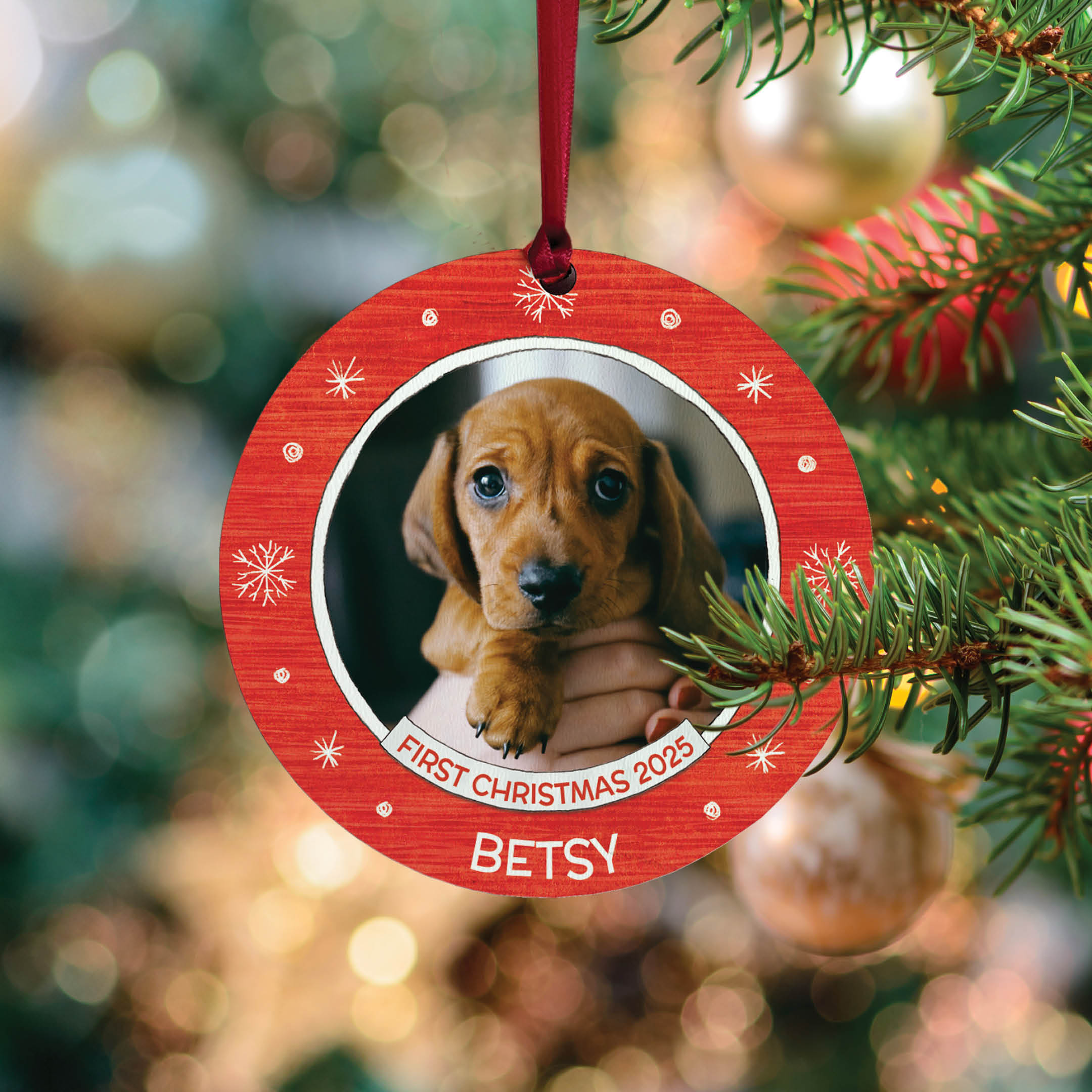 Dog's First Christmas Personalized Ornament