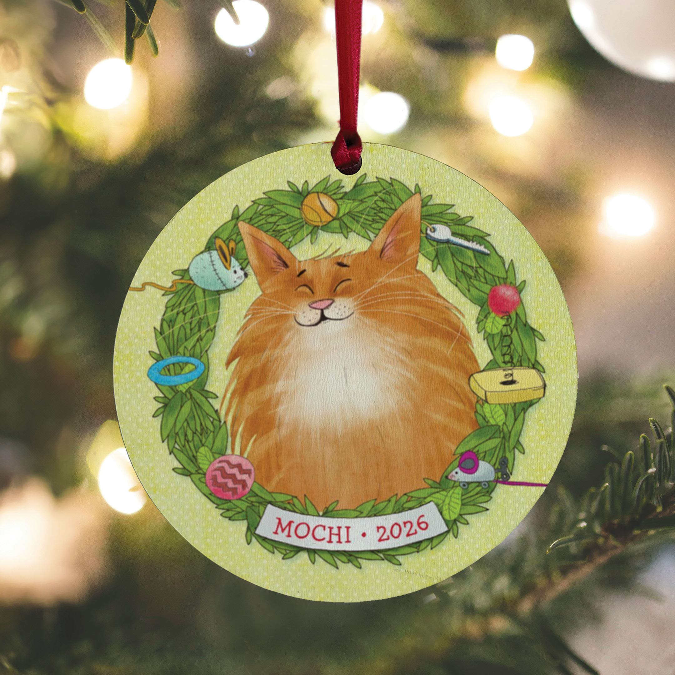 If My Cat Could Talk Personalized Book and Ornament Gift Set