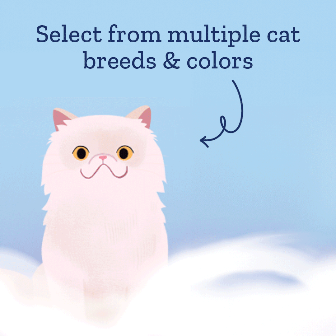 Rainbow Bridge Personalised Cat Book