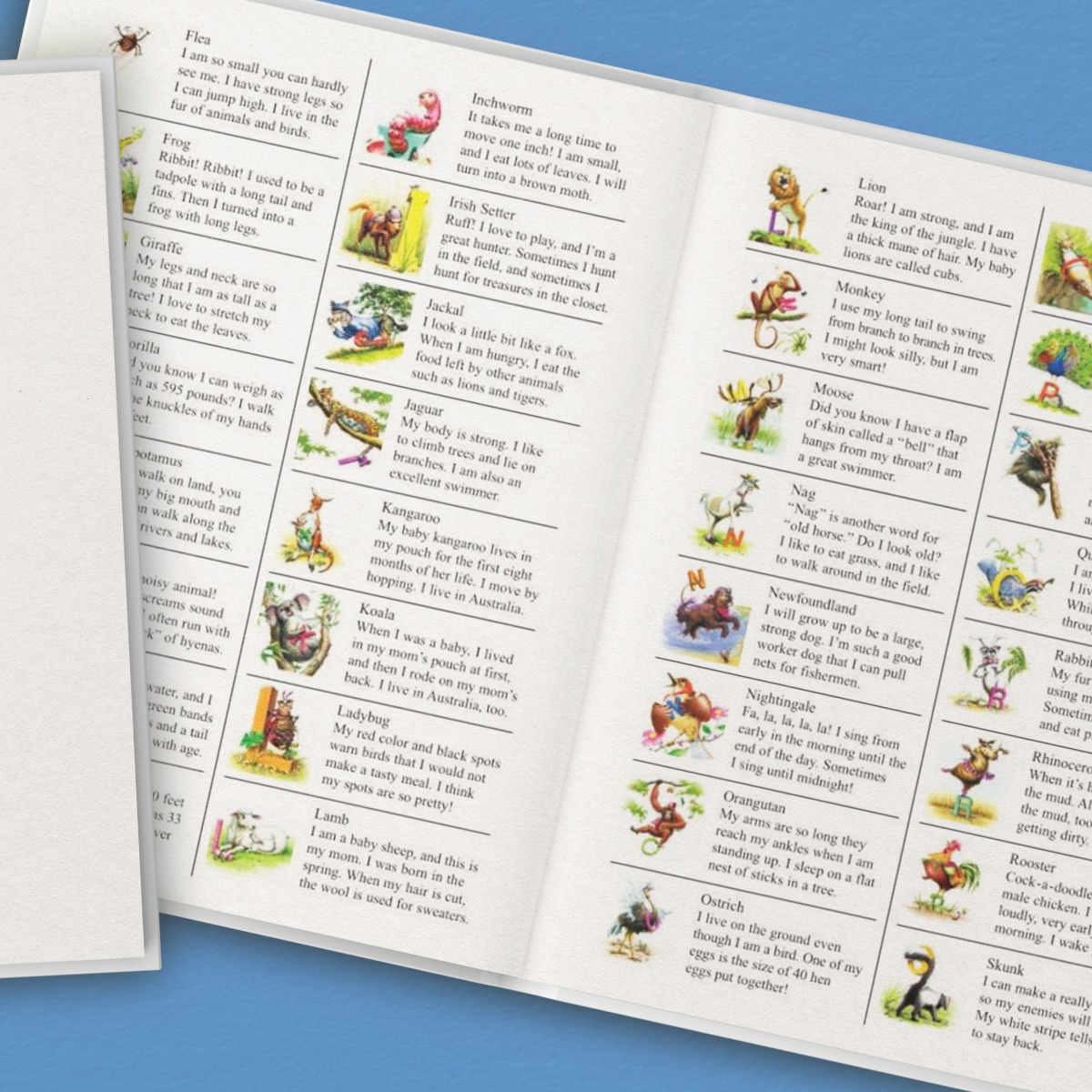 My Very Own Name Personalized Book and Giraffe Gift Set