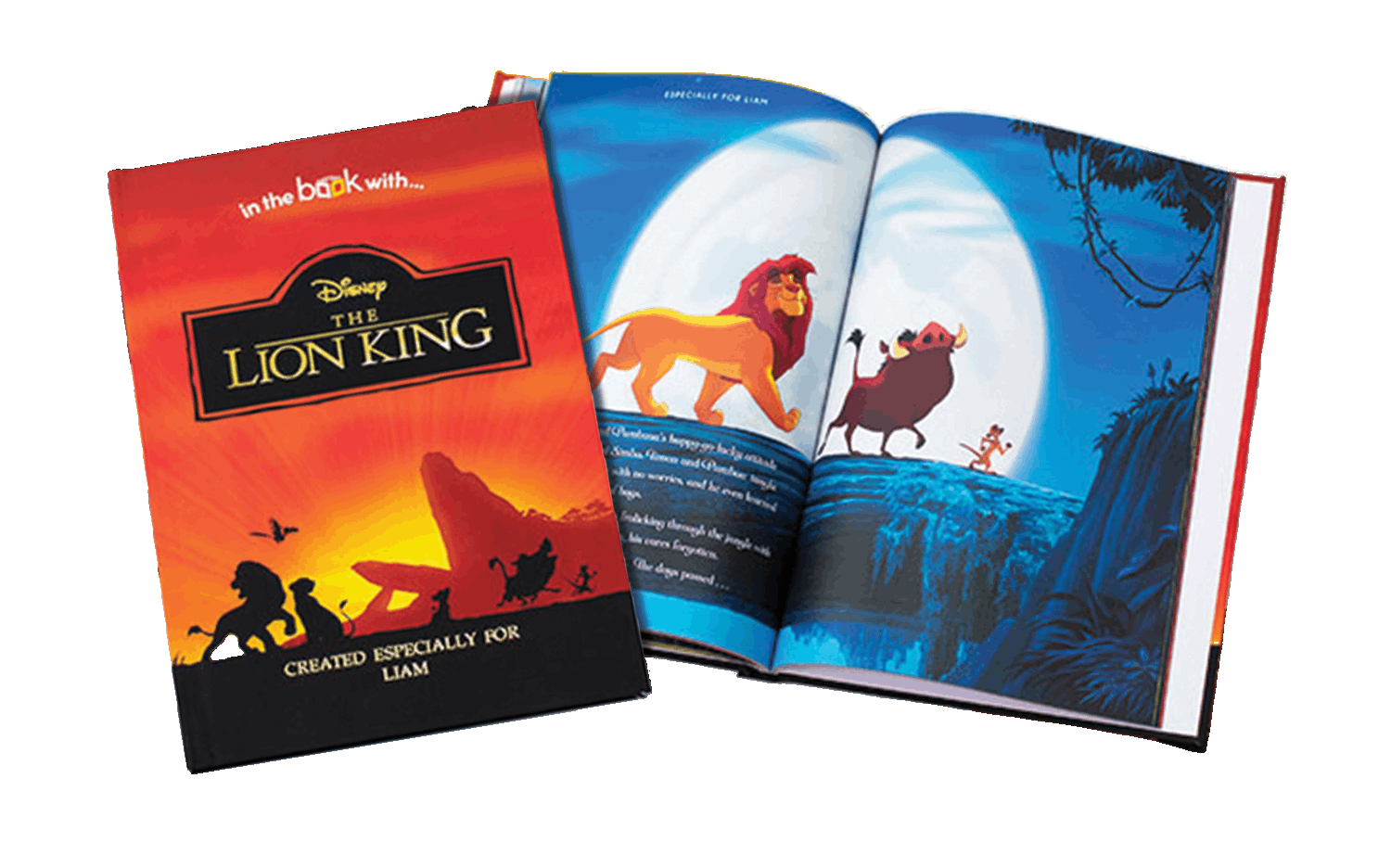 Disney The Lion King Personalized Book
