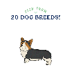 Welcome Fur Baby Personalised Dog Book