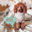 How My Dog Saved Christmas Personalized Book
