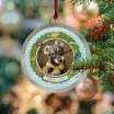 If My Dog Could Talk Personalized Book and Ornament