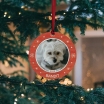 Dog Lovers Personalized Christmas Ornament