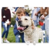 Personalized Pet Photo Puzzle, Landscape / Horizontal – 500 Pieces  