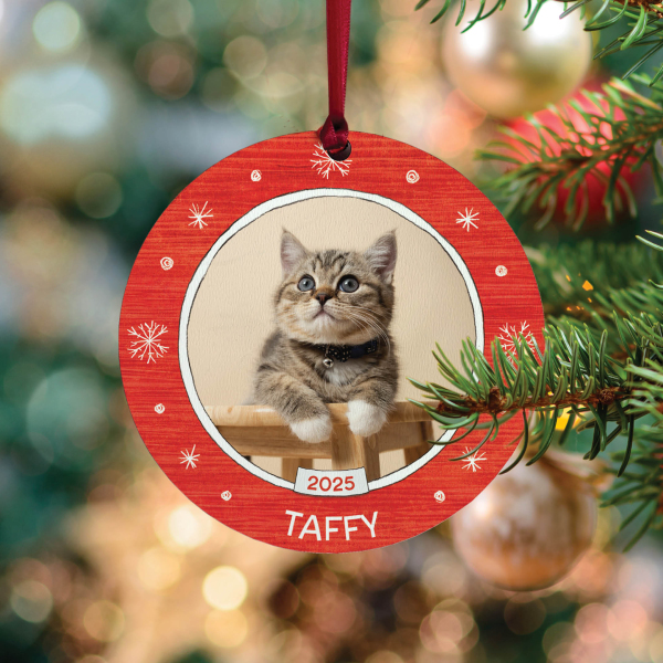 Cat Personalised Ornament