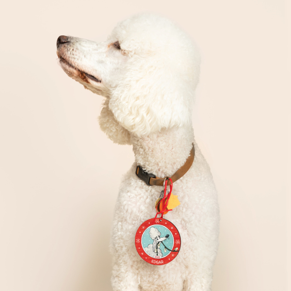 Dog Lovers Personalised Ornament