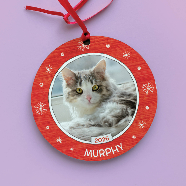 Cat Personalised Ornament