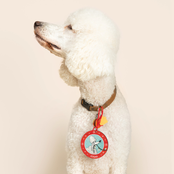 Dog Lovers Personalised Ornament