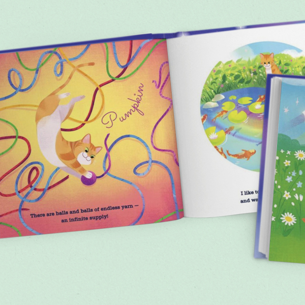 Rainbow Bridge Personalised Cat Book