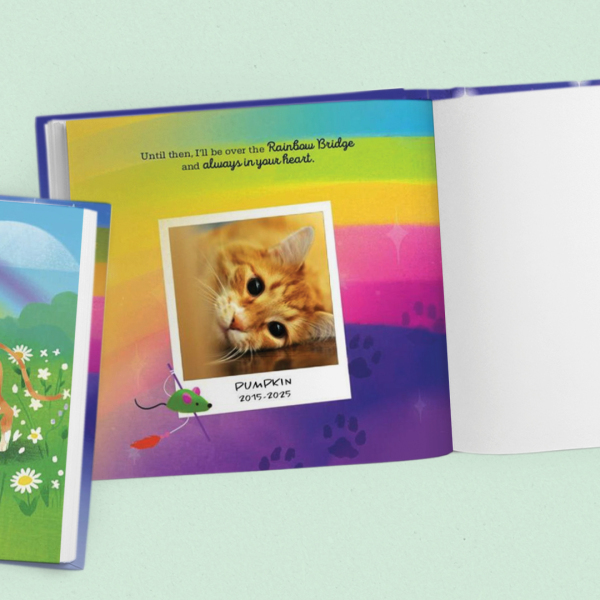 Rainbow Bridge Personalised Cat Book
