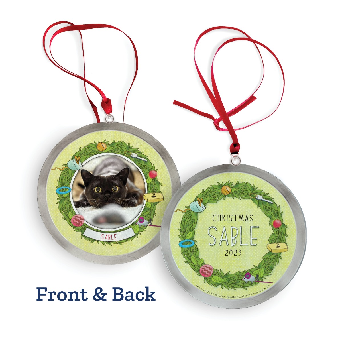 If My Cat Could Talk Personalized Ornament