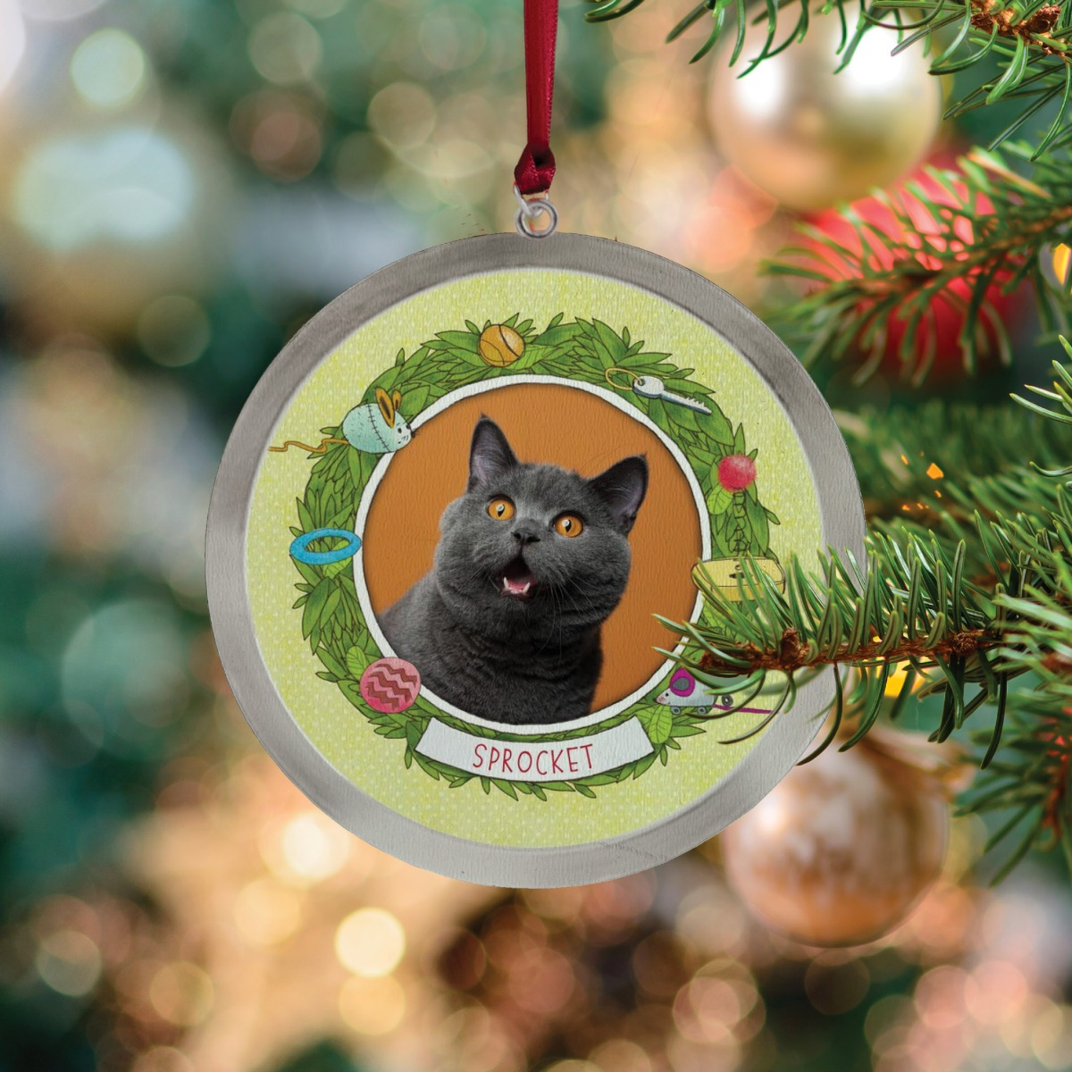 If My Cat Could Talk Personalized Book and Ornament Gift Set