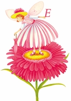 English Daisy