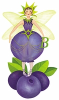 Blueberry