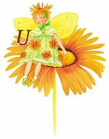 Ursinia Flower
