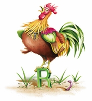 Beautiful illustrations throughout