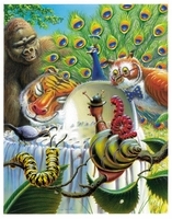 Beautiful illustrations throughout