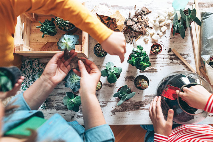 How To Make A Child S Fairy Garden I See Me Blog