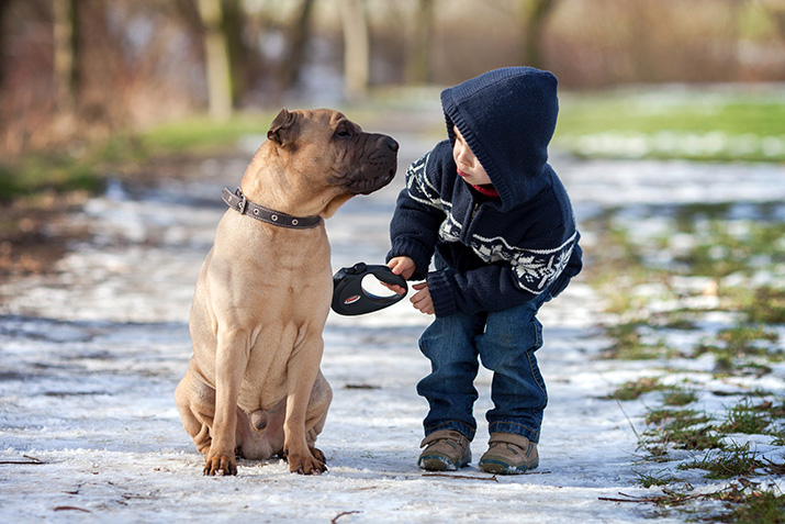 activities for kids and pets celebrate your pet christmas activities christmas cookies for dogs Christmas party christmas with dogs dog park dog toy gift exchange dog treat recipe family activities family christmas photos family christmas with your pet holiday decorations holiday dog treats holiday lights holiday market How My Dog Saved Christmas new holiday tradition pet photos storytime with your pet